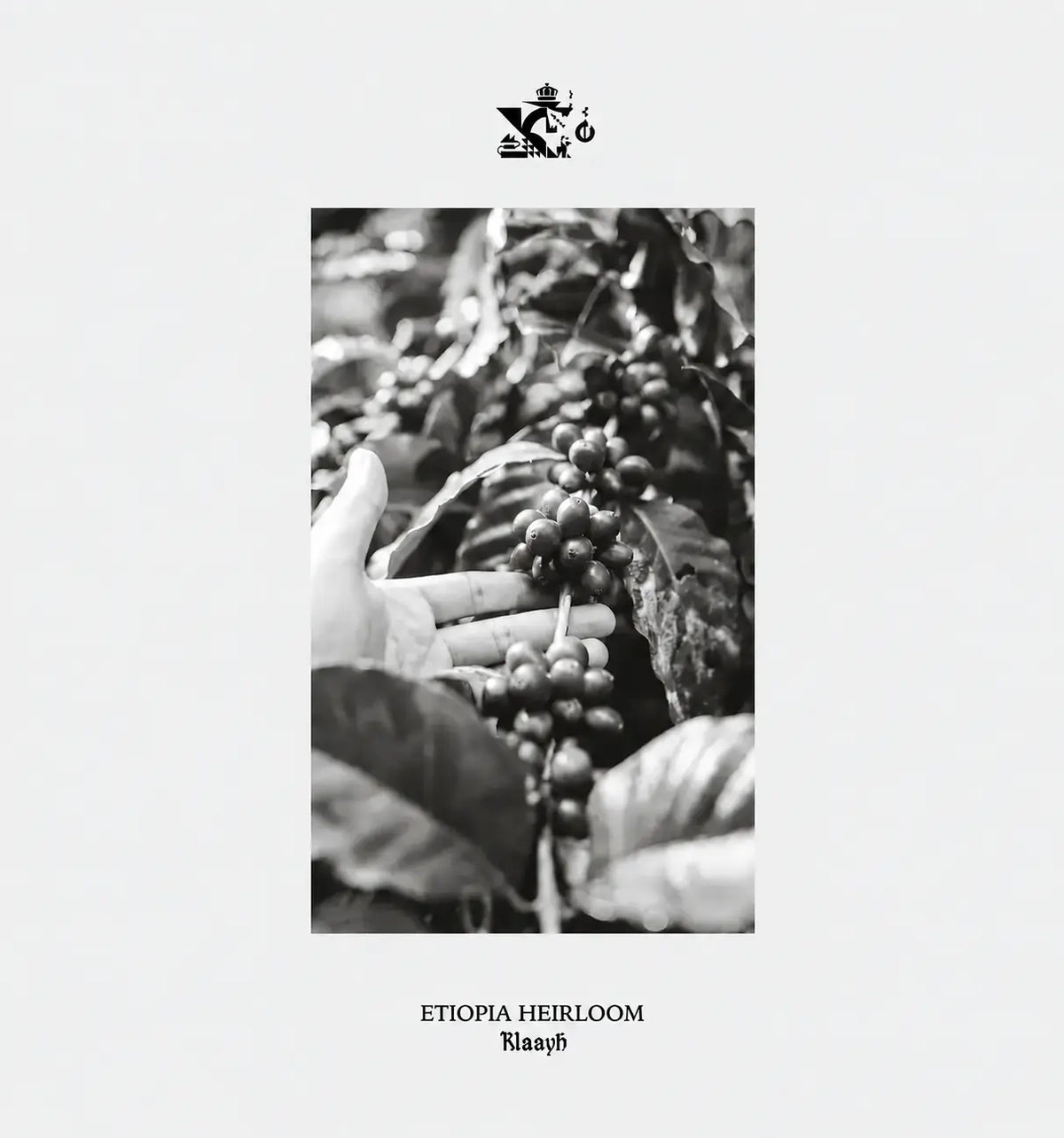 Etiopia Heirloom
