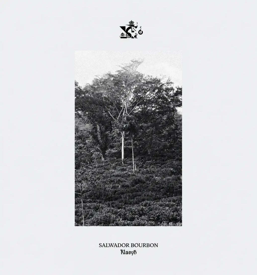 Salwador Bourbon