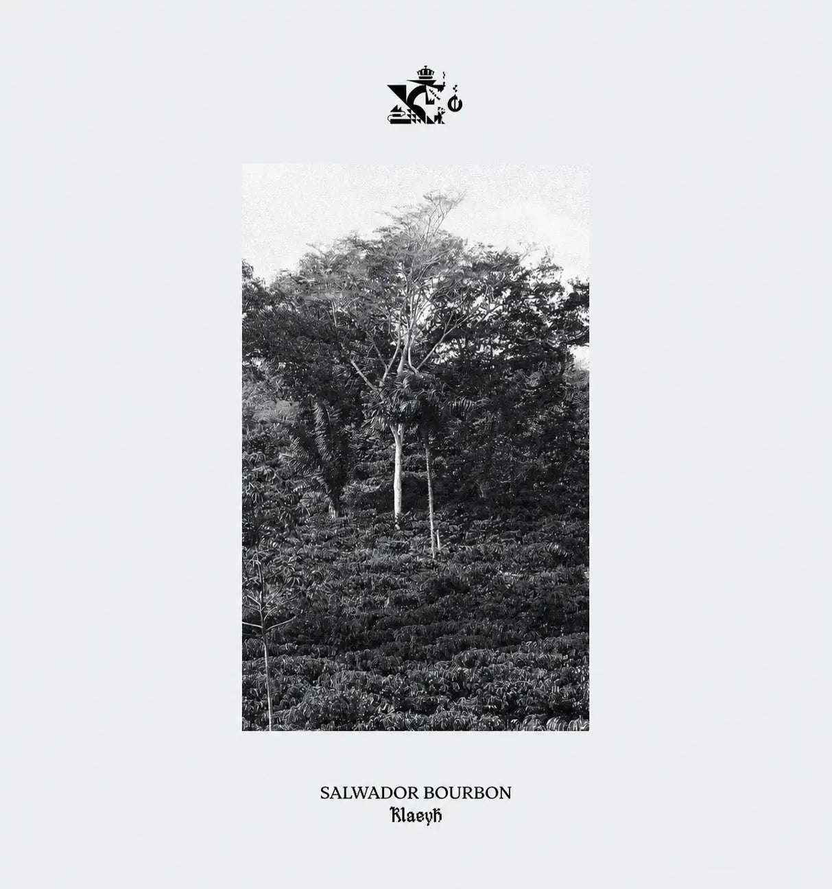 Salwador Bourbon