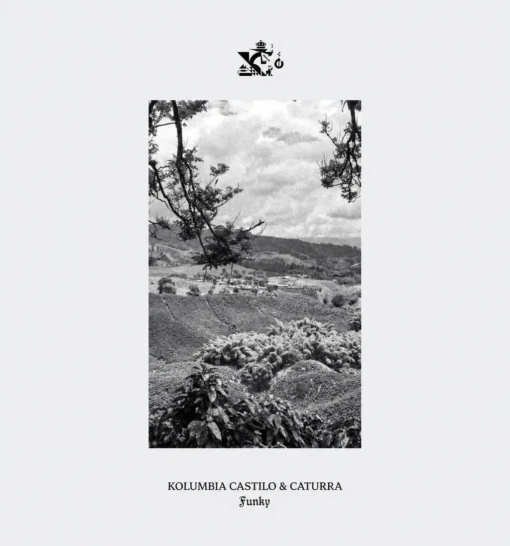 Kolumbia Castillo & Caturra