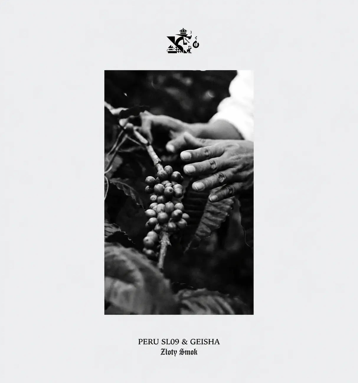 Peru SL09 & Geisha