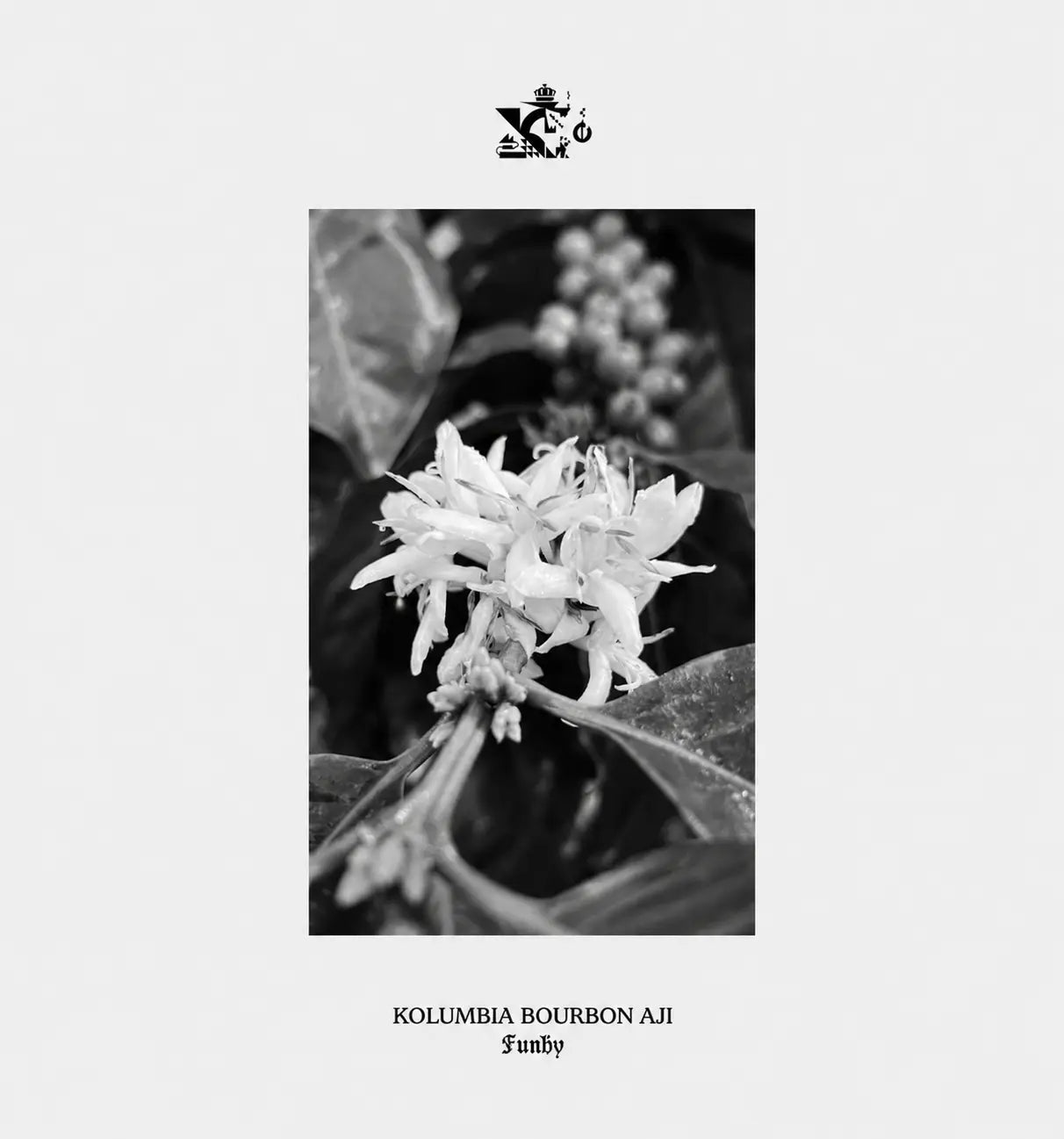 Kolumbia Bourbon Aji