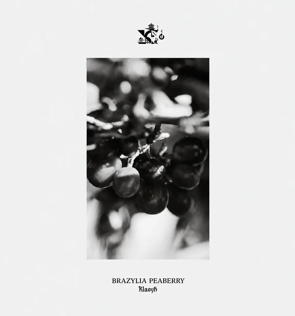 Brazylia Peaberry