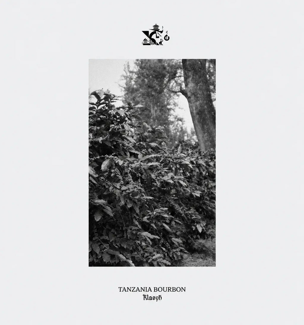 Tanzania Bourbon