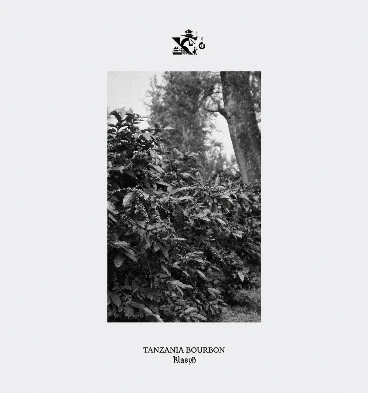 Tanzania Bourbon